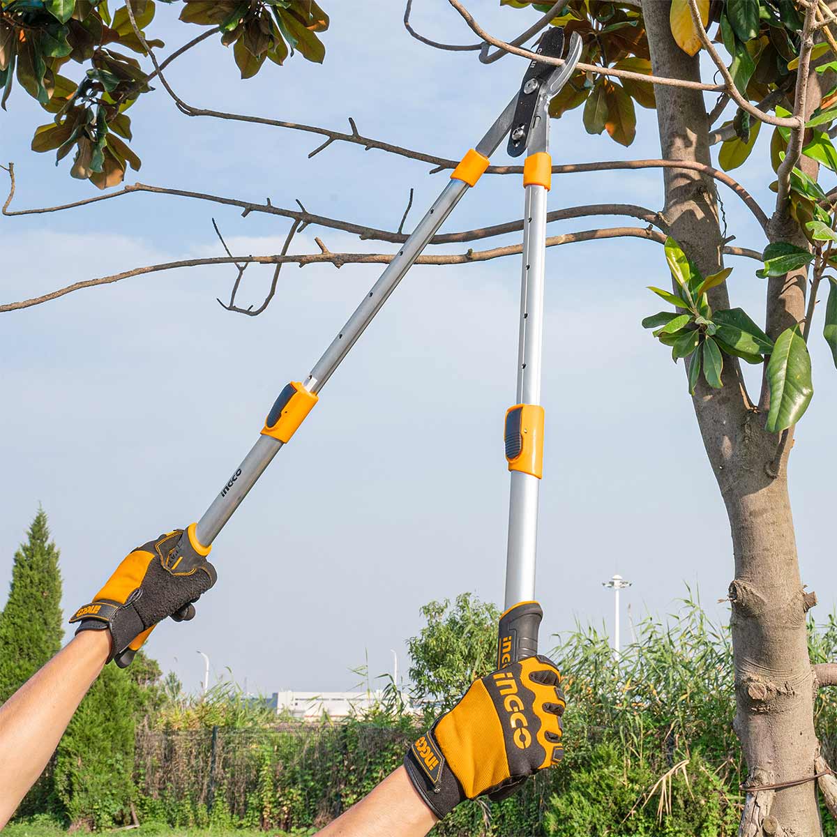Ψαλίδι Κλάδου 30″ με Τηλεσκοπικές Λαβές AL 660-870mm